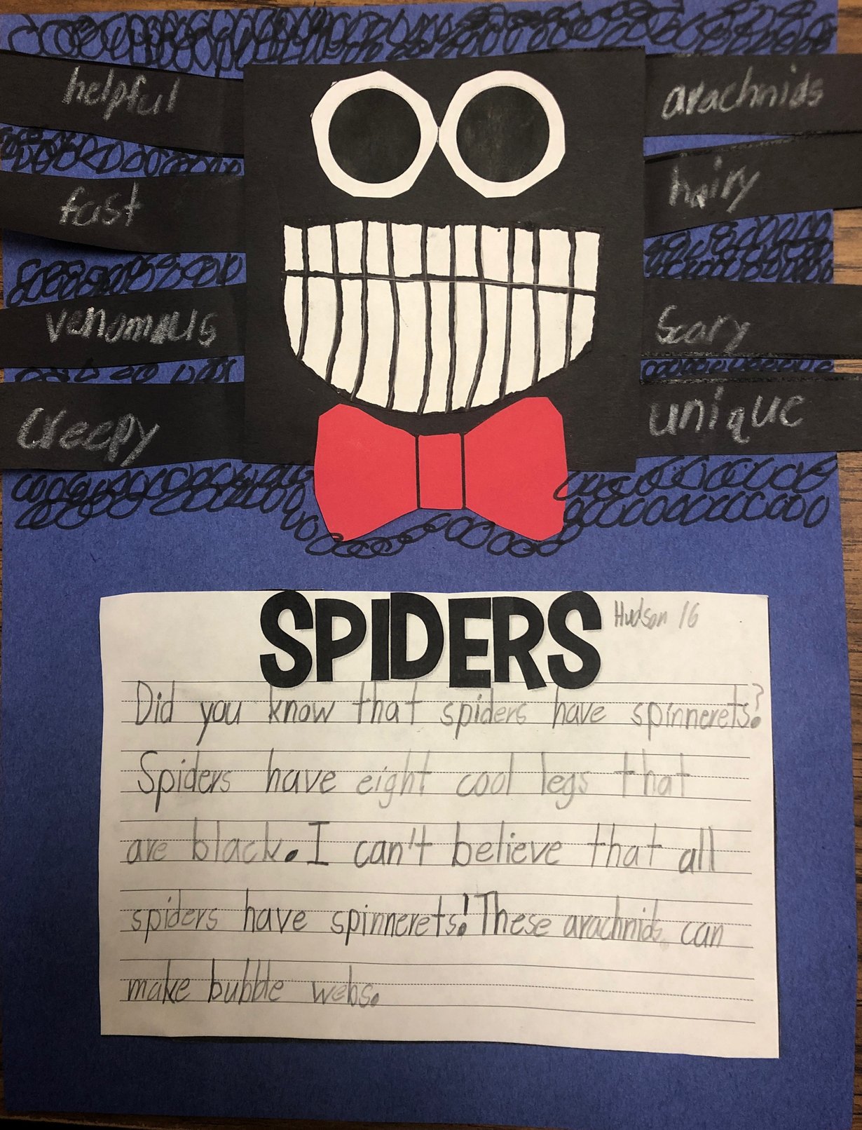Informational Sentences All About Spiders
