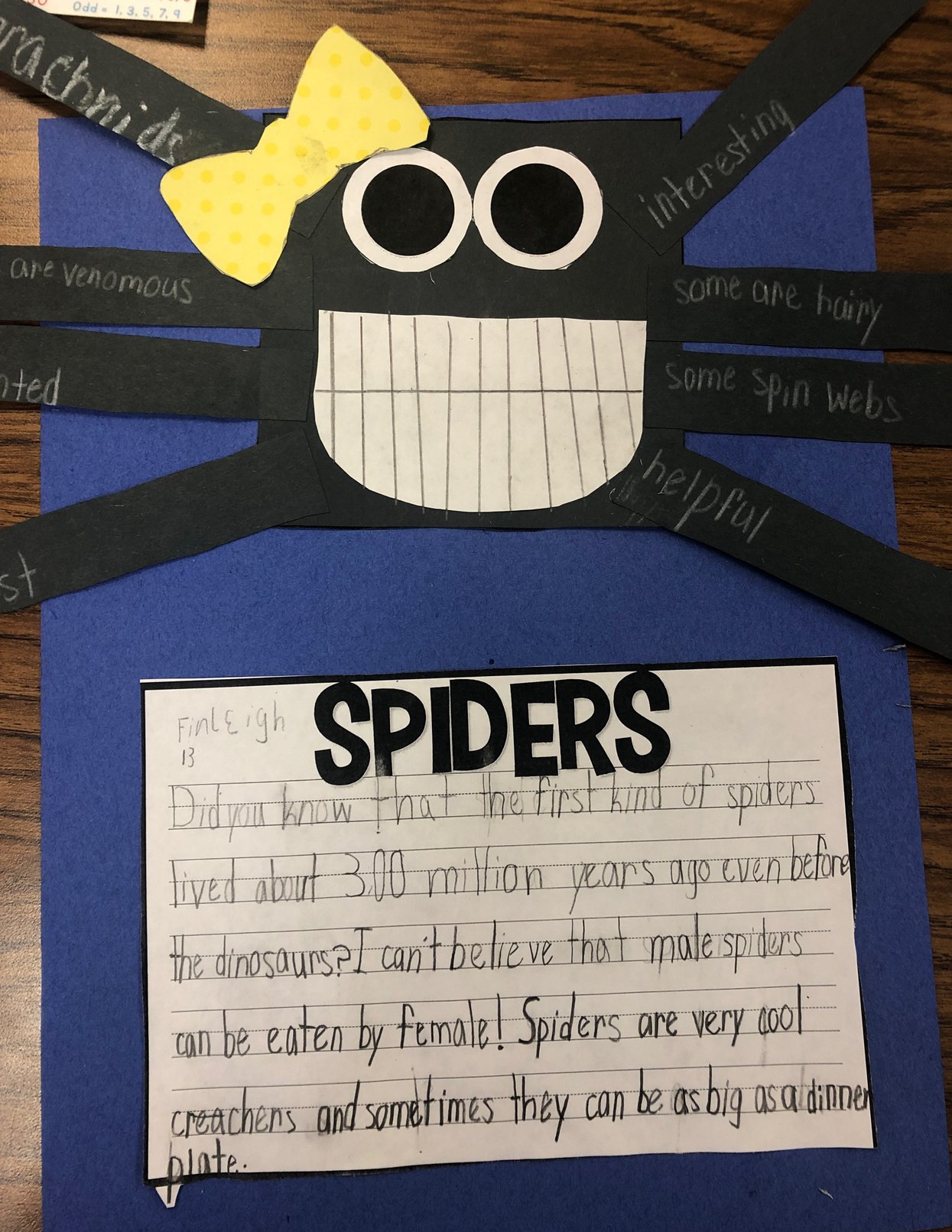 informational-sentences-all-about-spiders