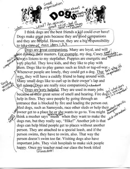 “Dogs” – Informational Annotated Student Writing Sample