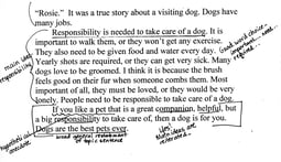 “Dogs” –Informational Annotated Student Writing Sample