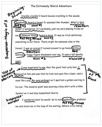 Narrative Writing Sample- Grade 3