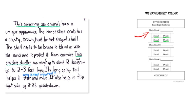 Expository_Student_Sample_Gr4-2.P