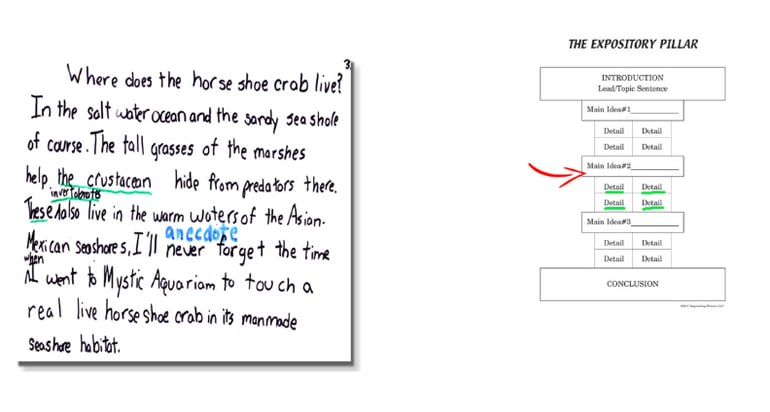 example of grade 4 essay Expository_Student_Sample_Gr4-3.P