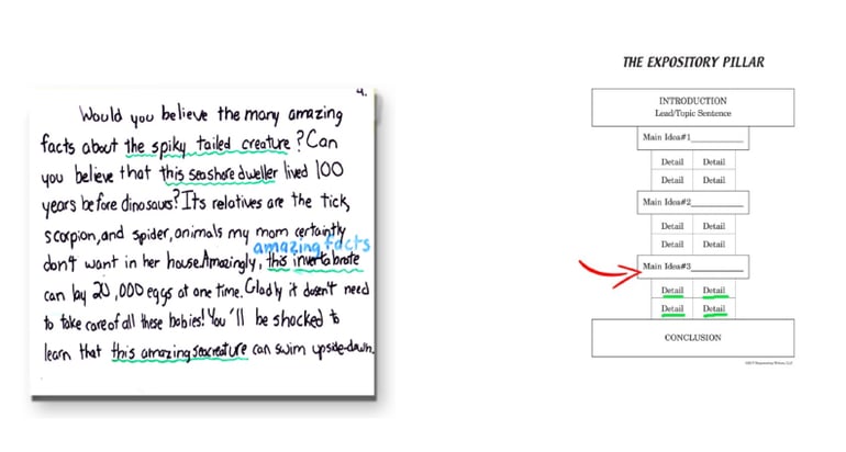 example of grade 4 essay Expository_Student_Sample_Gr4.4.P