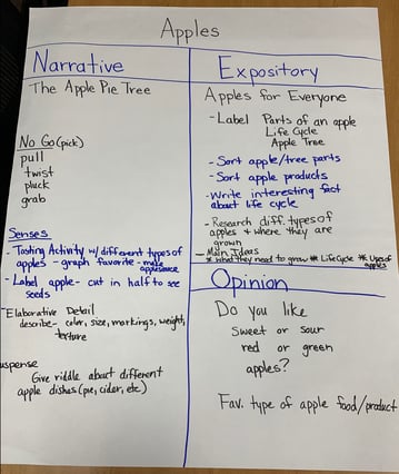 charting, brainstorming, opinion, narrative, expostiory, grade K, grade 1
