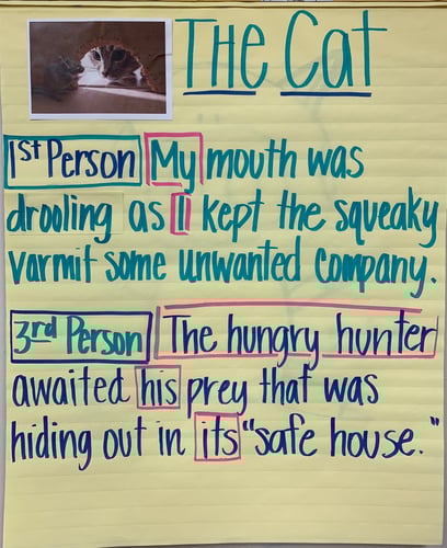 Teaching Point of View