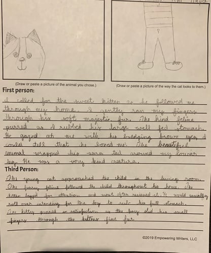 Student Samples & Modeled Lesson: Perspective/POV