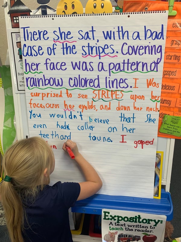 literature connection, art extension, sentence starters, student writing samples, narrative