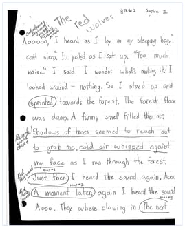 narrative story writing grade 2 Red Wolves Sample Image copy