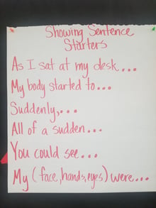 sentence variety, sentence starters, writing samples, literature connection